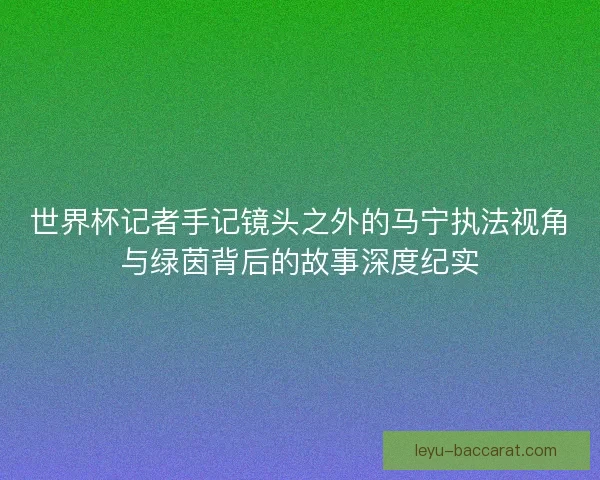 世界杯记者手记镜头之外的马宁执法视角与绿茵背后的故事深度纪实